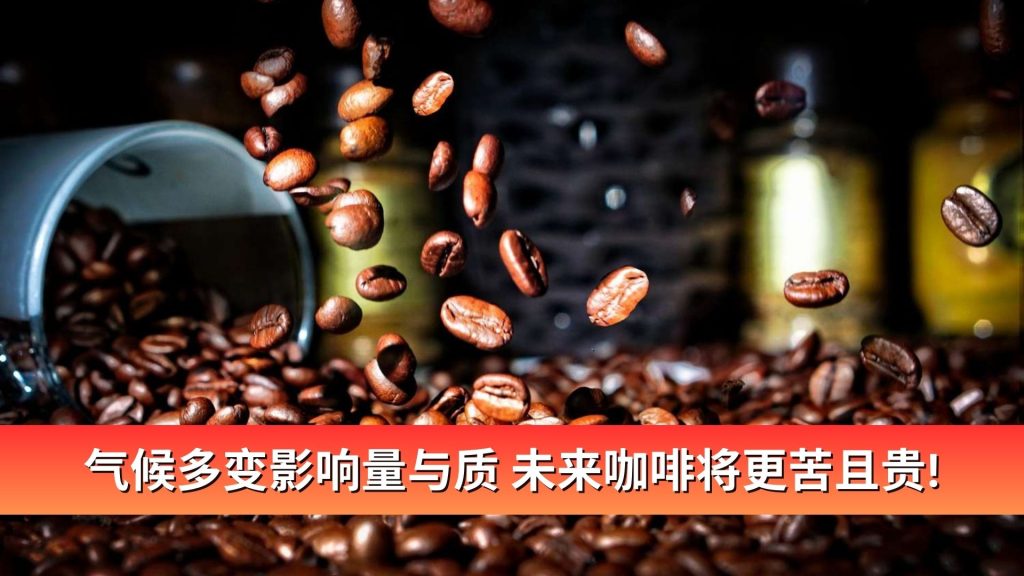 Read more about the article 气候多变影响量与质 未来咖啡将更苦且贵!