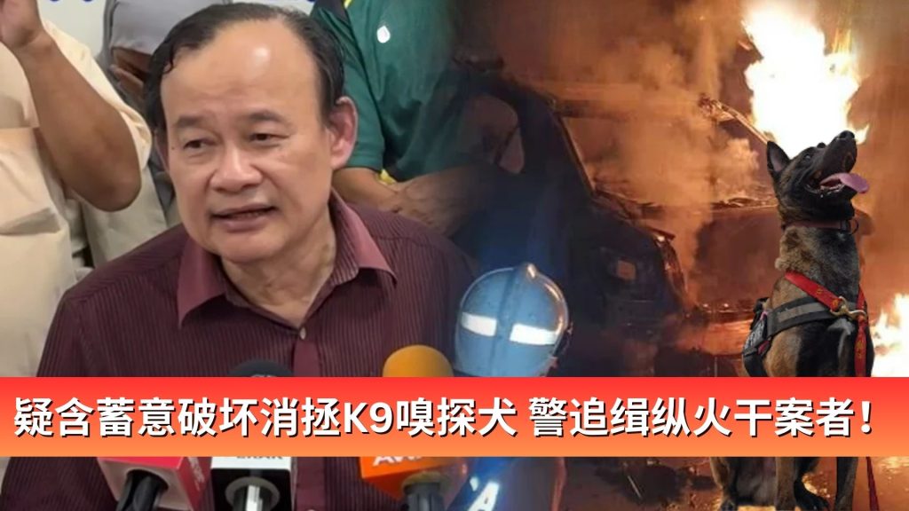 Read more about the article 疑含蓄意破坏出动消拯K9嗅探犬 警追缉纵火干案者！