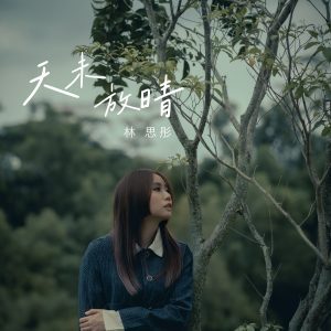 Read more about the article 《天未放晴》<br/>林思彤